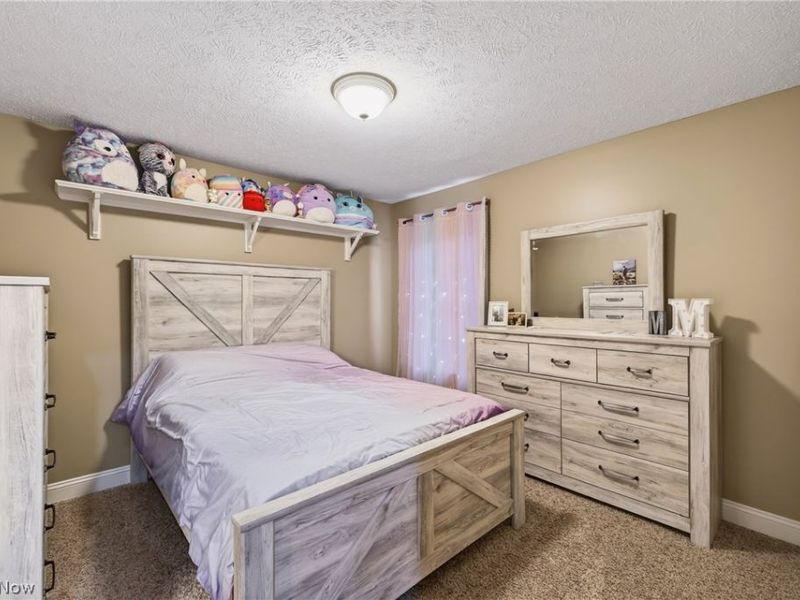 11530 Monarch Court, Painesville Township, OH 44077 Photo 38