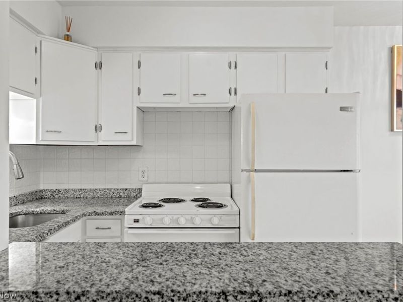 12520 Edgewater Drive, Unit 1504, Lakewood, OH 44107 Photo 3