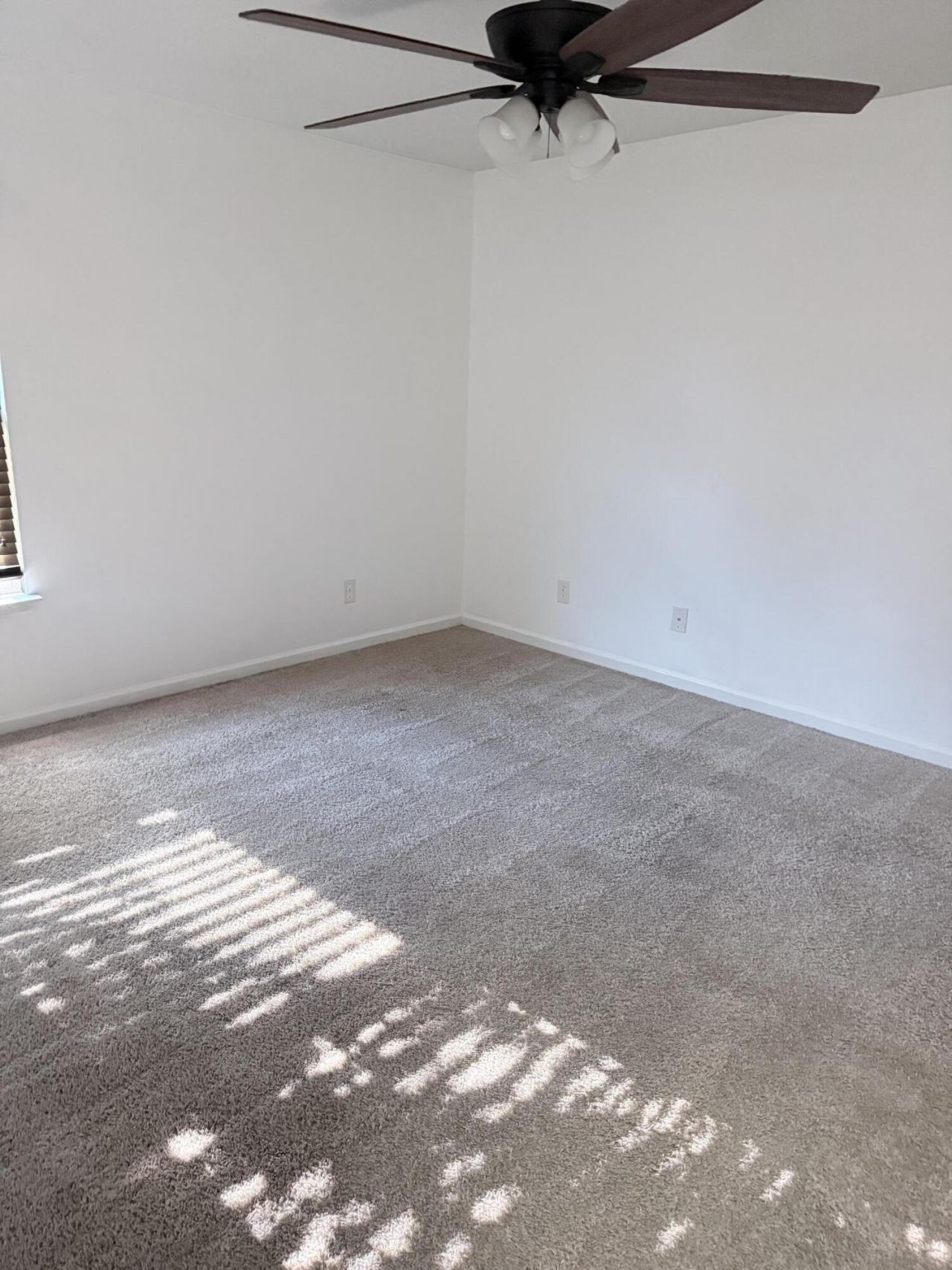 195 Hickory Ridge Way Photo 25