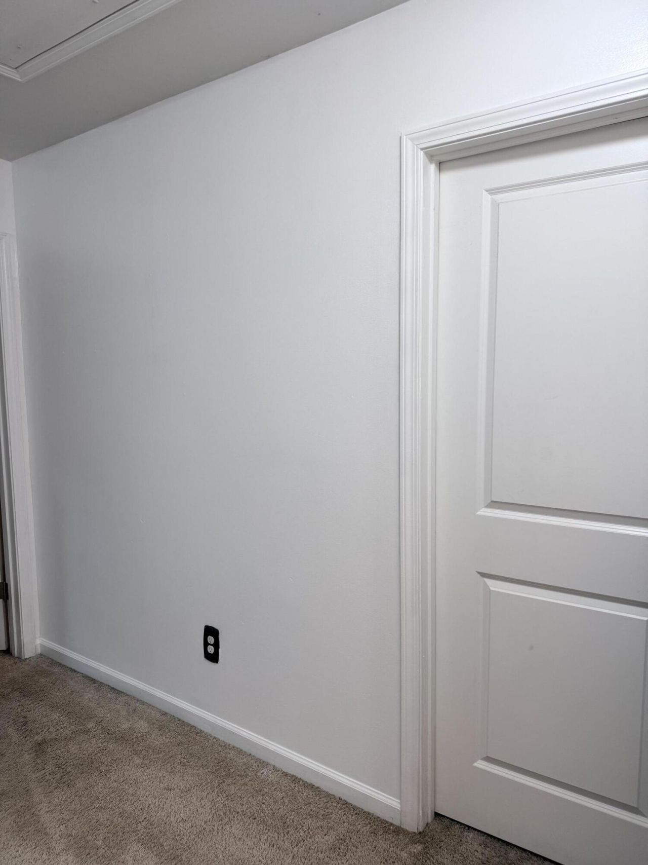 195 Hickory Ridge Way Photo 28