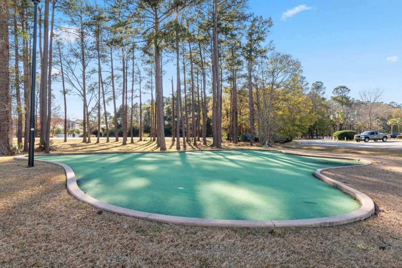 533 White River Dr.  Photo 29