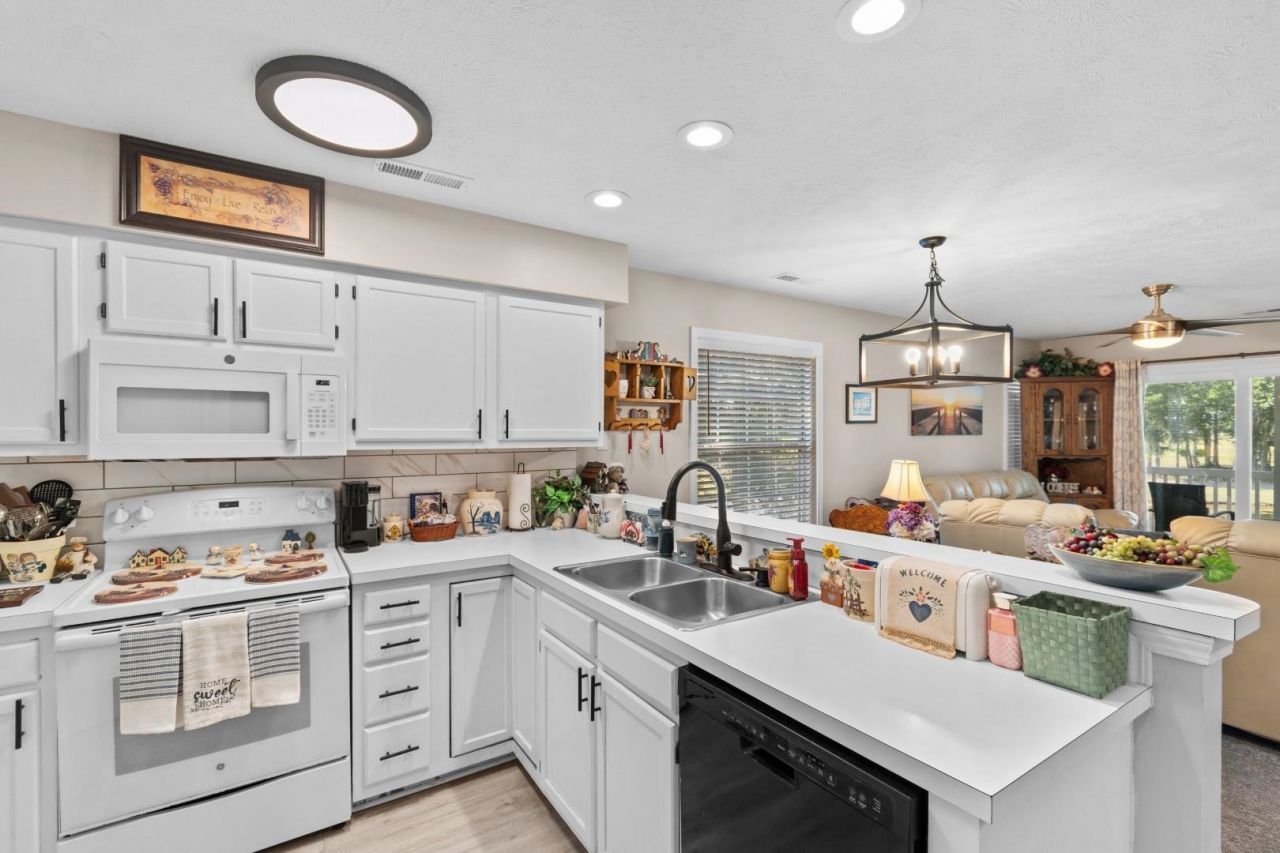 533 White River Dr.  Photo 7