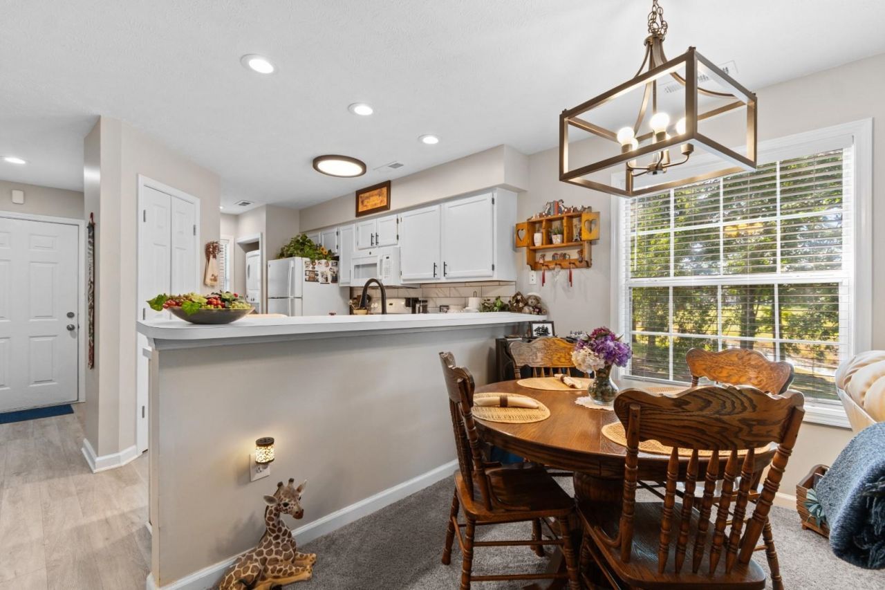 533 White River Dr.  Photo 9