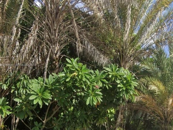 361 NE 69th St, Miami, FL 33138