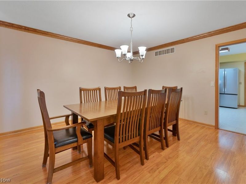 264 W Main Street, Canfield, OH 44406 Photo 15