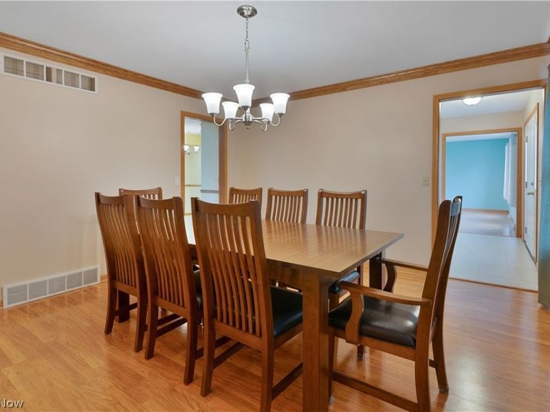 264 W Main Street, Canfield, OH 44406 Photo 16