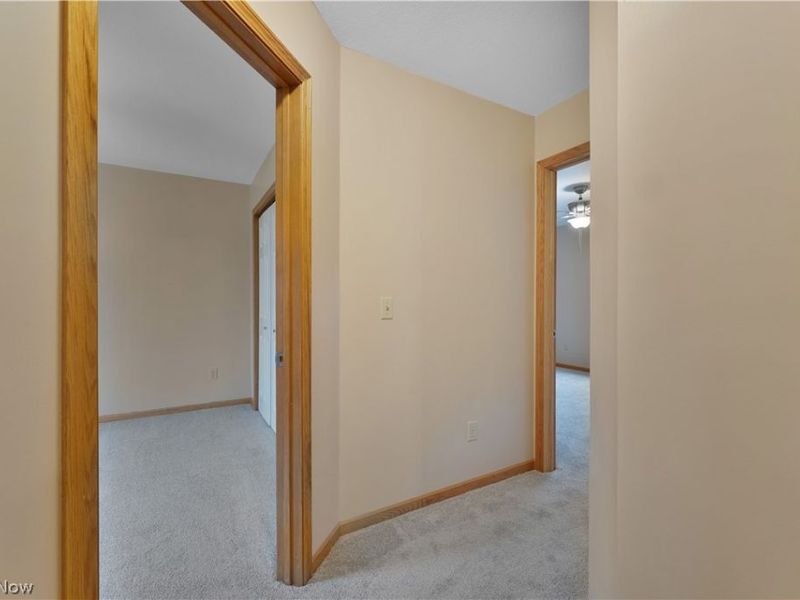 264 W Main Street, Canfield, OH 44406 Photo 33