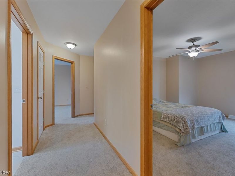 264 W Main Street, Canfield, OH 44406 Photo 34