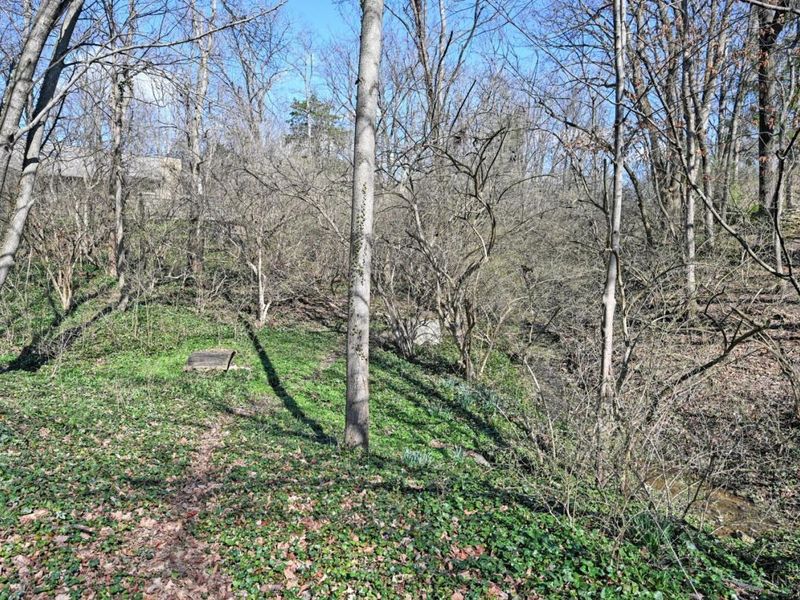 11614 Symmes Creek Drive, Symmes Township, OH 45140 Photo 61