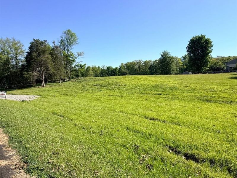 2016 Cochise Drive, Sardinia, OH 45171 Photo 4