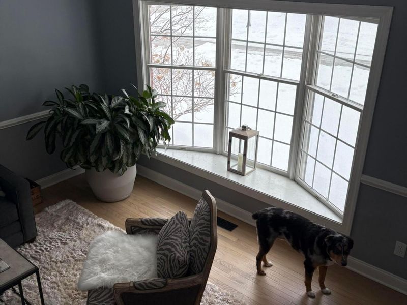 7065 Maynard Place, New Albany, OH 43054 Photo 13