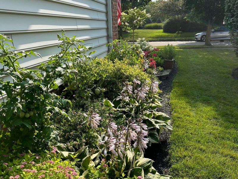 7065 Maynard Place, New Albany, OH 43054 Photo 42