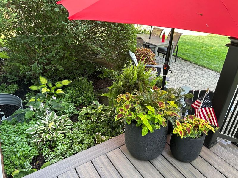 7065 Maynard Place, New Albany, OH 43054 Photo 45