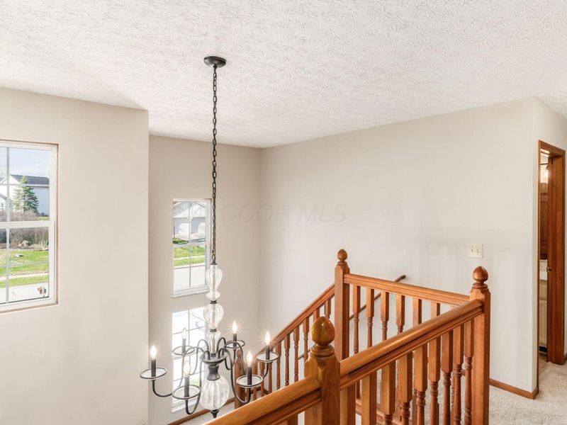 12316 Thoroughbred Drive, Pickerington, OH 43147 Photo 26