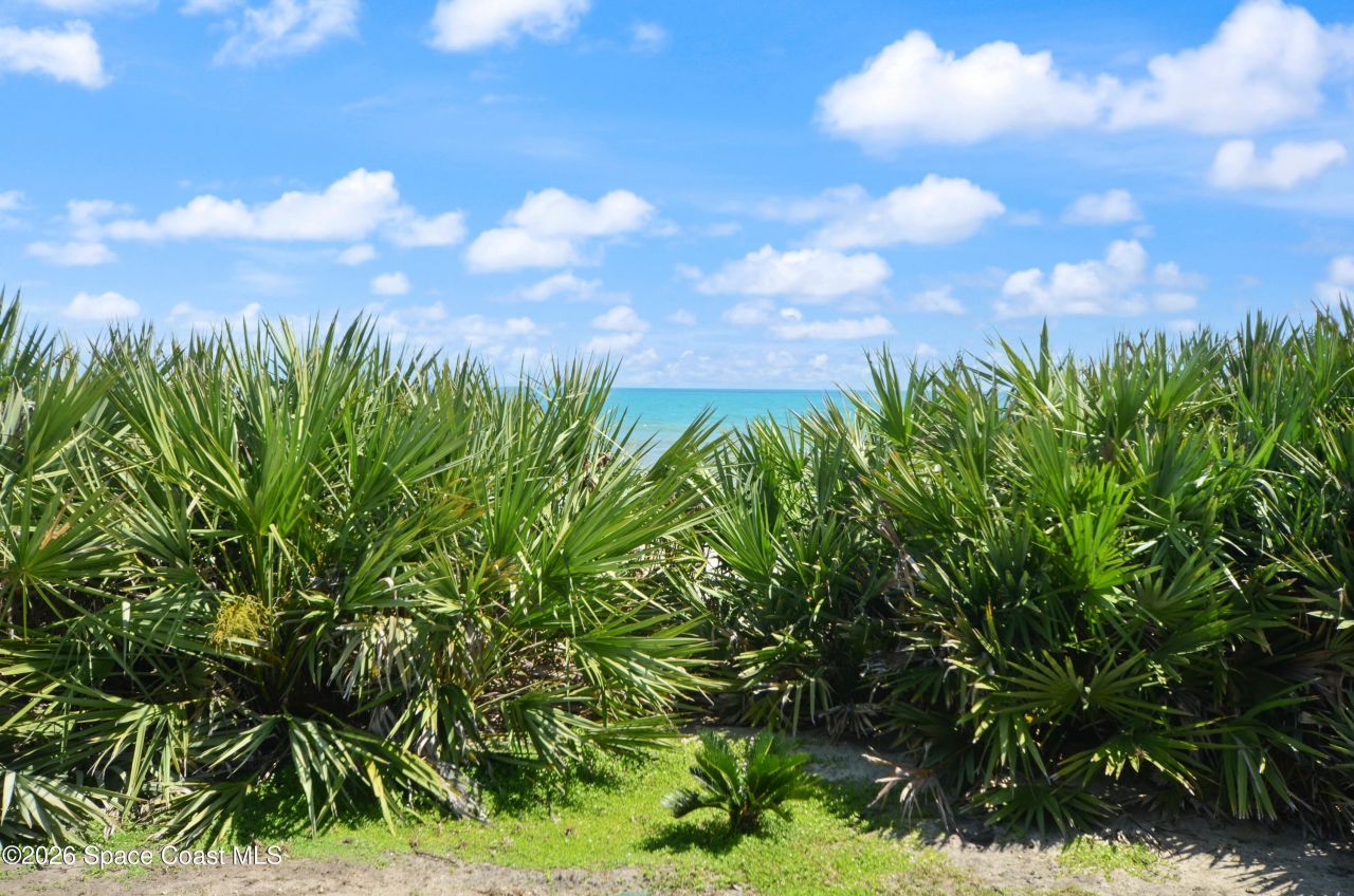 1923 Jimmy Buffett Memorial Highway, Unit C-3, Indian Harbor Beach, FL 32937 Photo