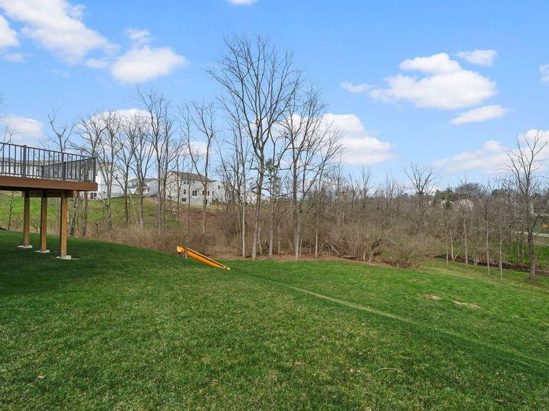 3205 Chloe Court, Hebron, KY 41048 Photo 46