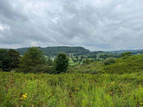 Fairway View Drive, Peterstown, WV 24963