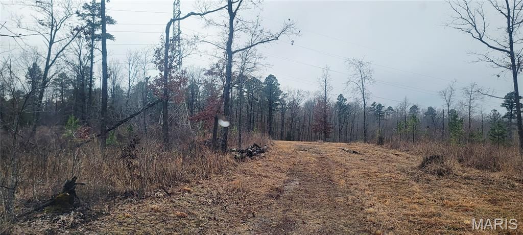 0 Delbridge Rd , Potosi, MO 63664 Main Photo