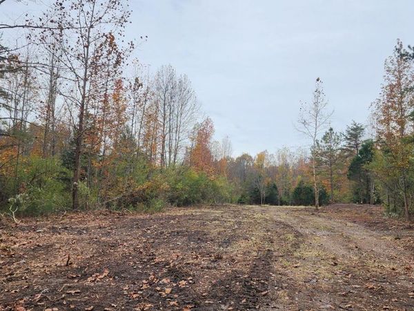 Edward Smith Rd, Robbins, TN 37852