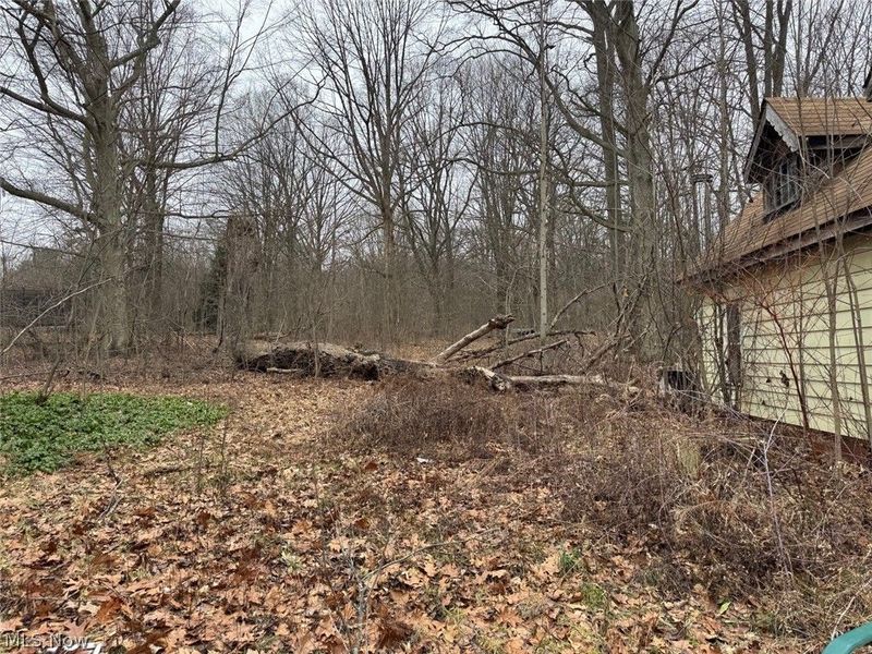 790 S Cleveland Massillon Road, Akron, OH 44333 Photo 4