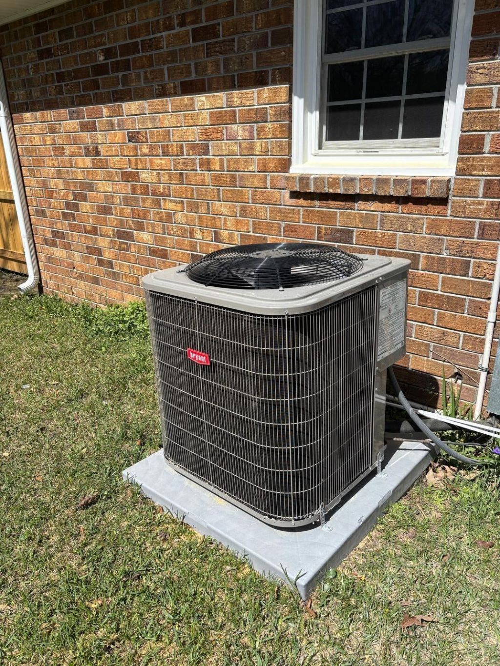 7719 Mendelwood Drive Photo 17