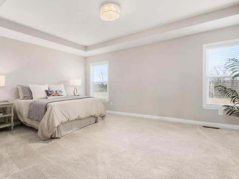 239 Harness Way, Delaware, OH 43015 Photo 22