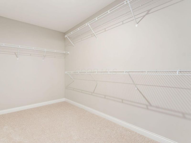 239 Harness Way, Delaware, OH 43015 Photo 26