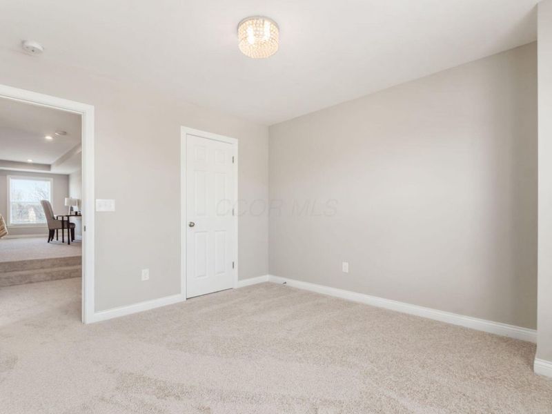 239 Harness Way, Delaware, OH 43015 Photo 28