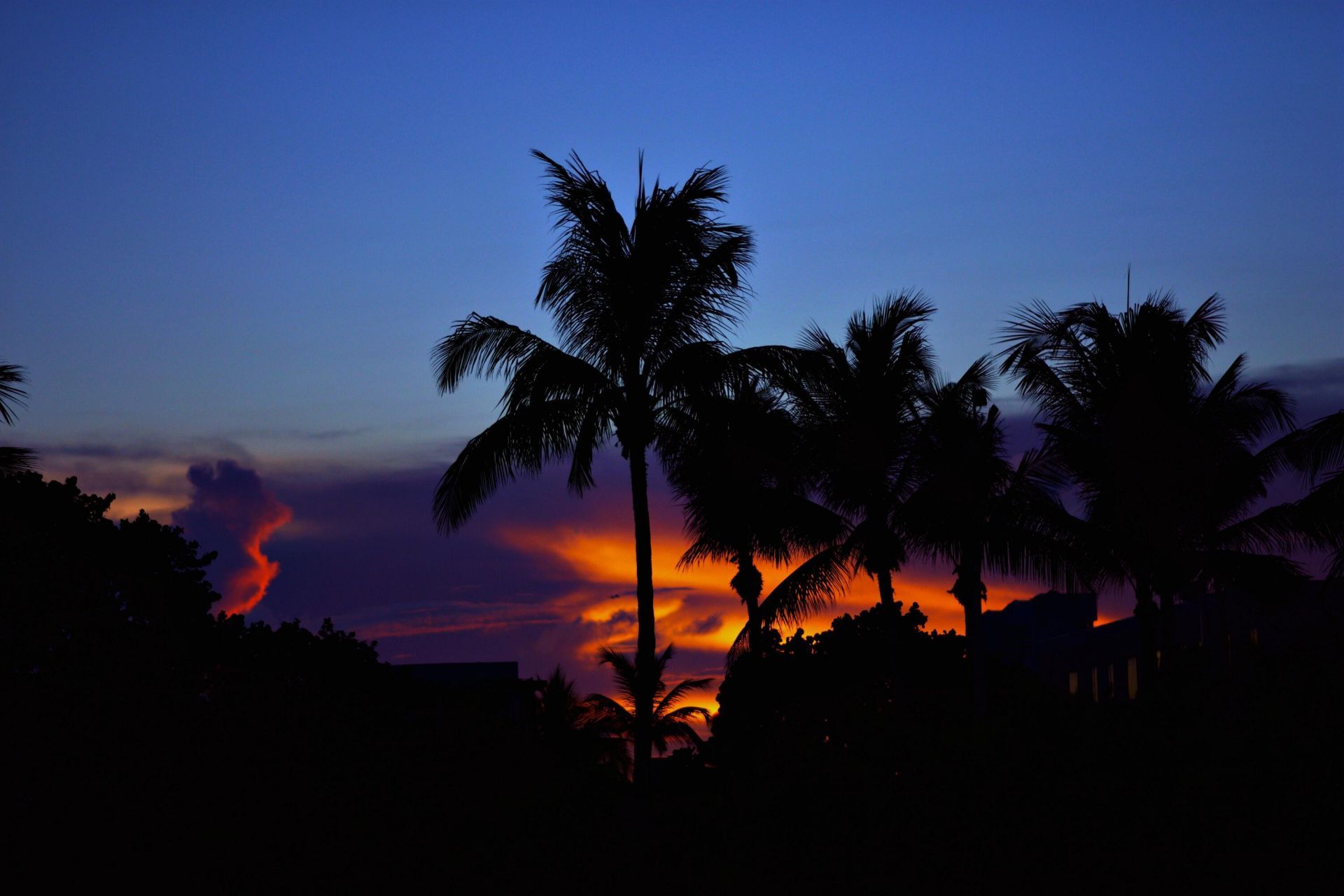 8404 Chapman Oak Court, Palm Beach Gardens, FL 33410 Photo