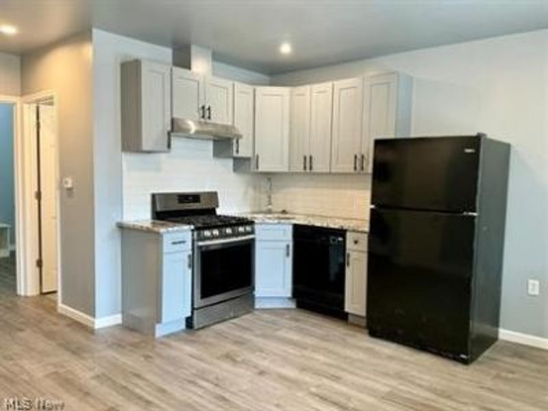 1615 E 47th Street, Cleveland, OH 44103 Photo 3