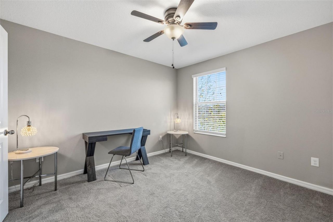 4002 Cat Mint Street , Tampa, FL 33619 Photo