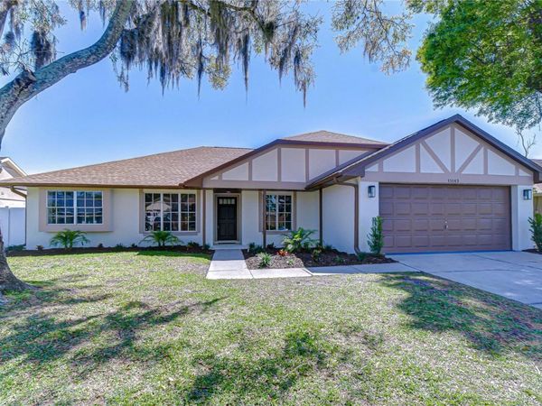 15143 SPRINGVIEW STREET , TAMPA, FL 33624