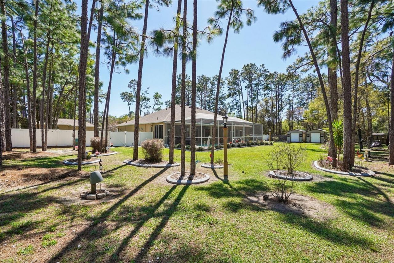 13176 Cooper Road, Spring Hill, FL 34609 Photo