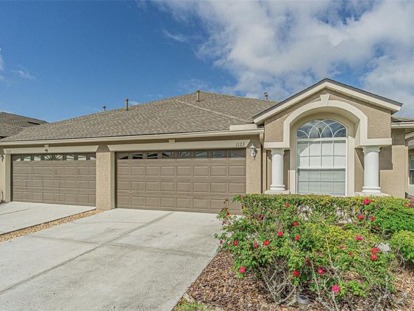 1123 BENSBROOKE DRIVE, WESLEY CHAPEL, FL 33543