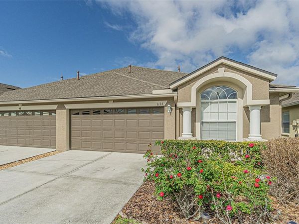 1123 BENSBROOKE DRIVE , WESLEY CHAPEL, FL 33543