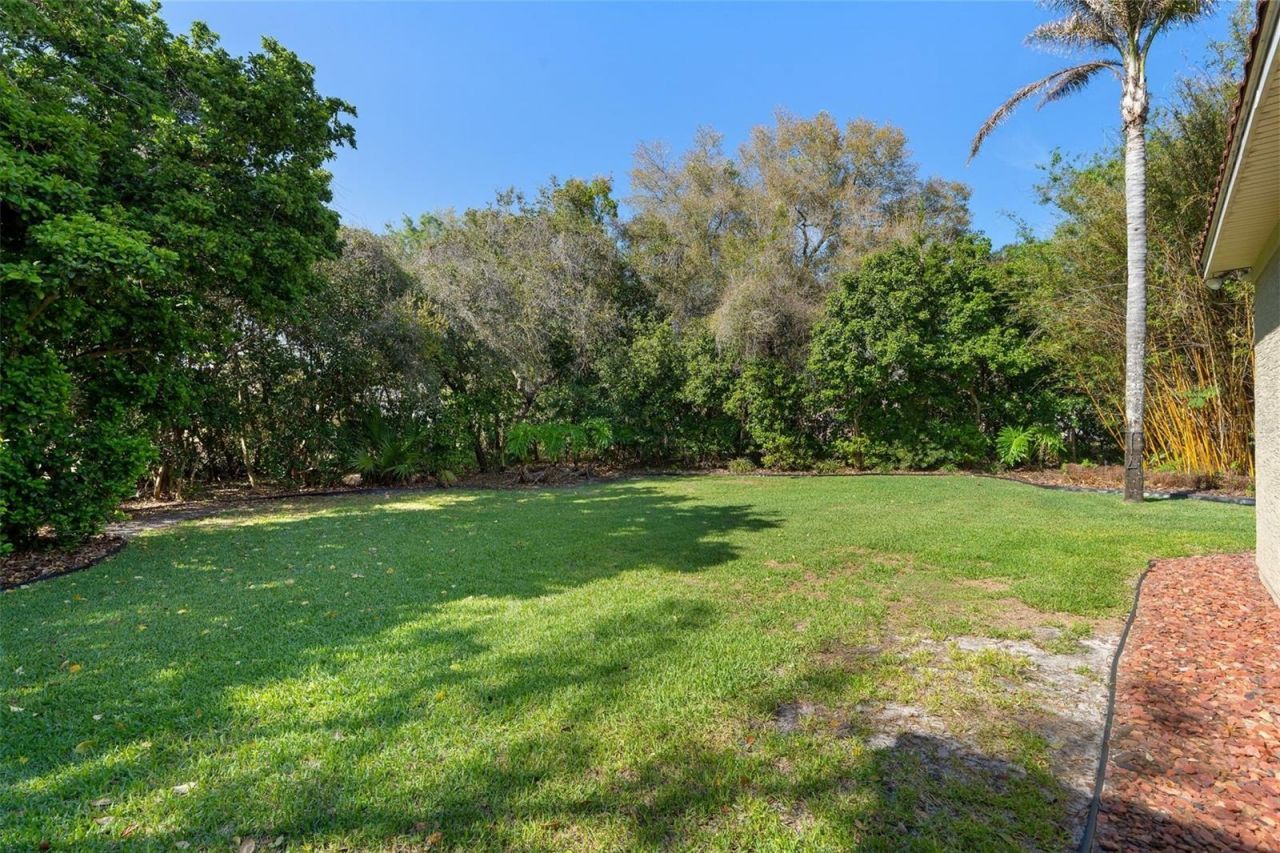 817 Hail Court, Port Orange, FL 32127 Photo