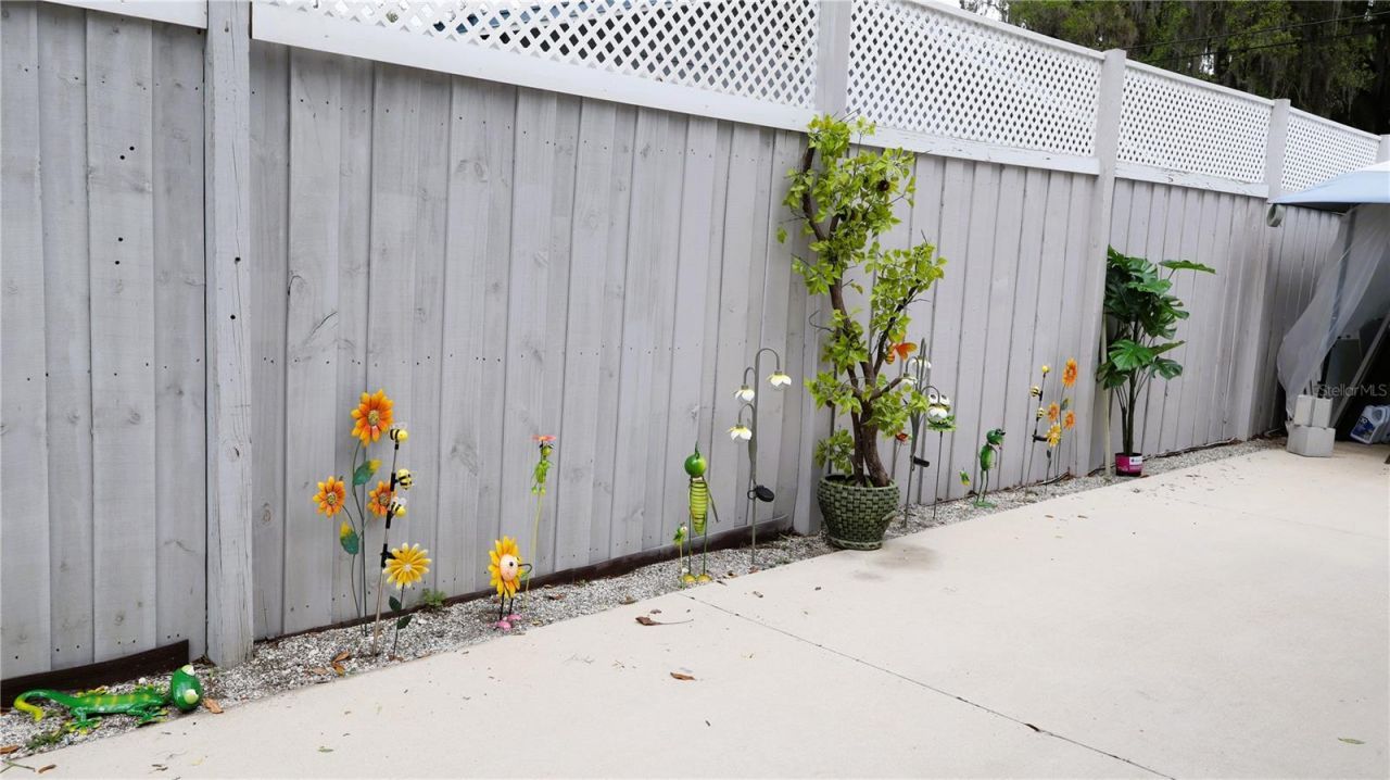 1912 Cr 439c , Lake Panasoffkee, FL 33538 Photo