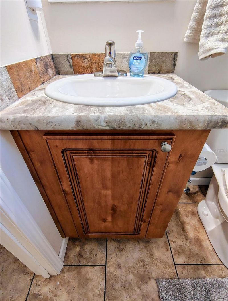 1912 Cr 439c , Lake Panasoffkee, FL 33538 Photo