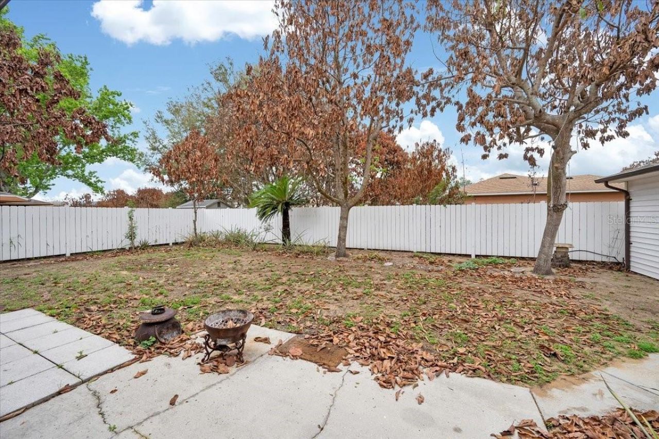 711 E Frederick Ave, Dundee, FL 33838 Photo