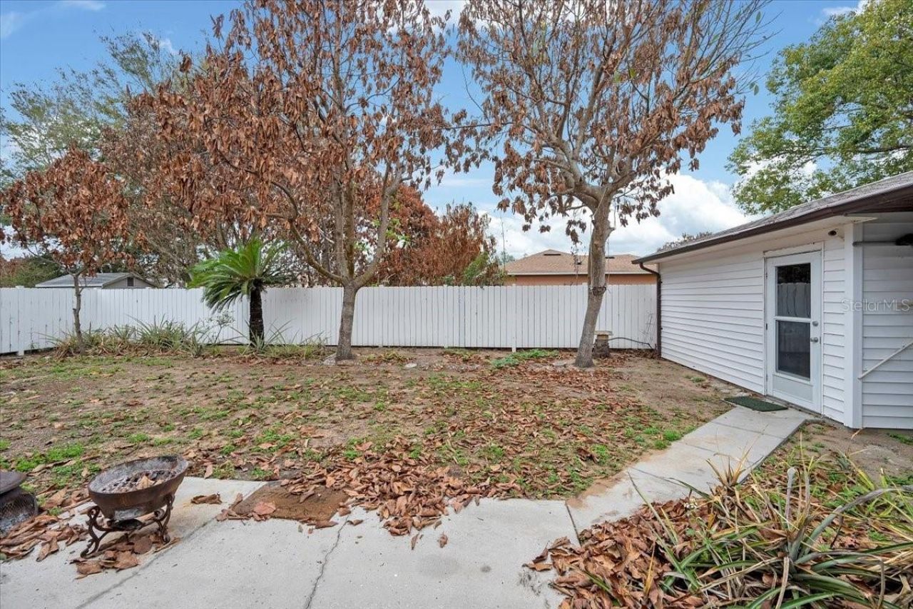 711 E Frederick Ave, Dundee, FL 33838 Photo