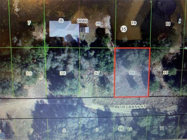 2406 BLUEGRASS STREET , INVERNESS, FL 34453