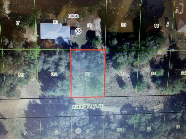2408 BLUEGRASS STREET , INVERNESS, FL 34453