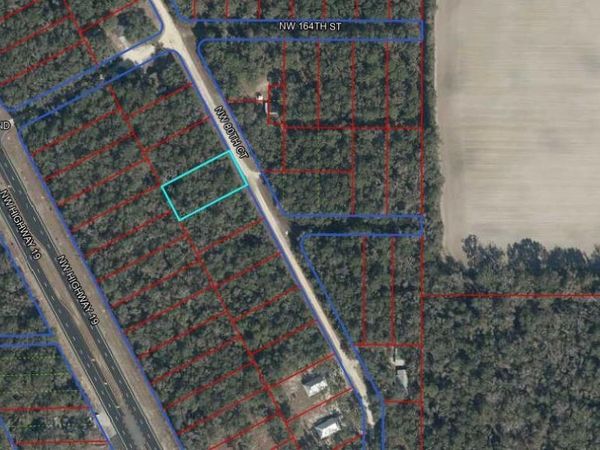NW LOT 31 , FANNING SPRINGS, FL 32693
