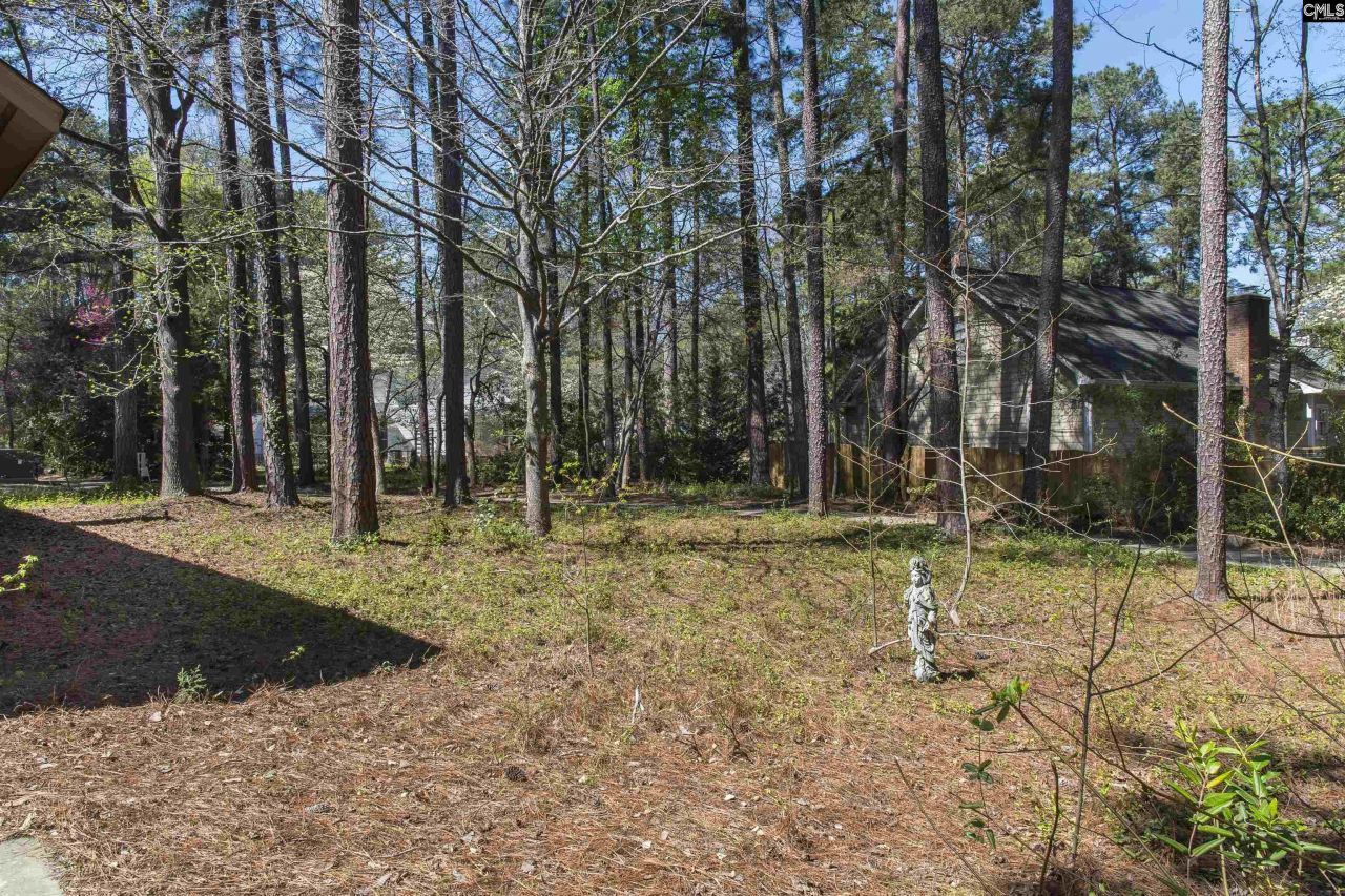 18 Chinquapin Court  Photo 29