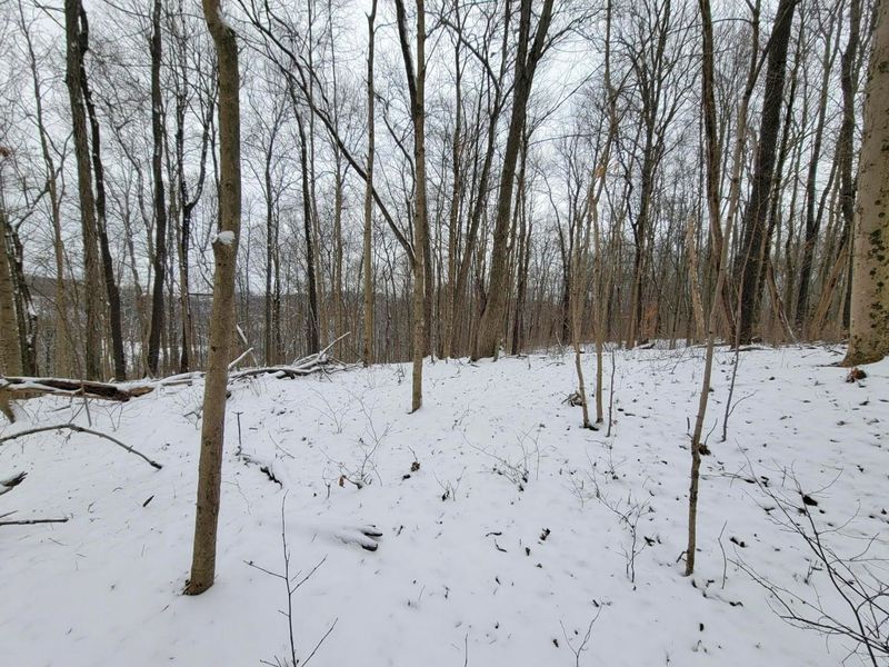0 Tract 3 Bondi Ridge Rd , Woodsfield, OH 43793 Photo 11