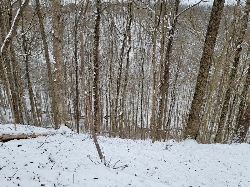 0 Tract 3 Bondi Ridge Rd , Woodsfield, OH 43793 Photo 13