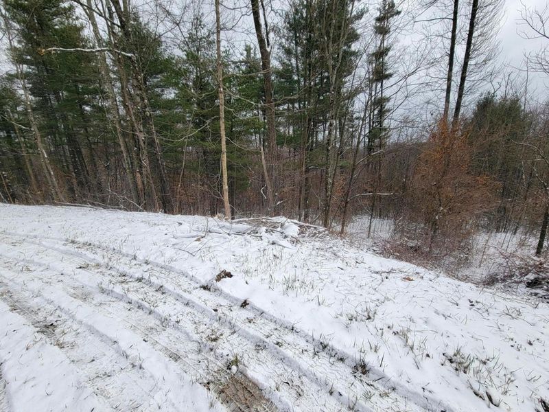 0 Tract 3 Bondi Ridge Rd , Woodsfield, OH 43793 Photo 18