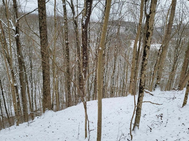 0 Tract 3 Bondi Ridge Rd , Woodsfield, OH 43793 Photo 21