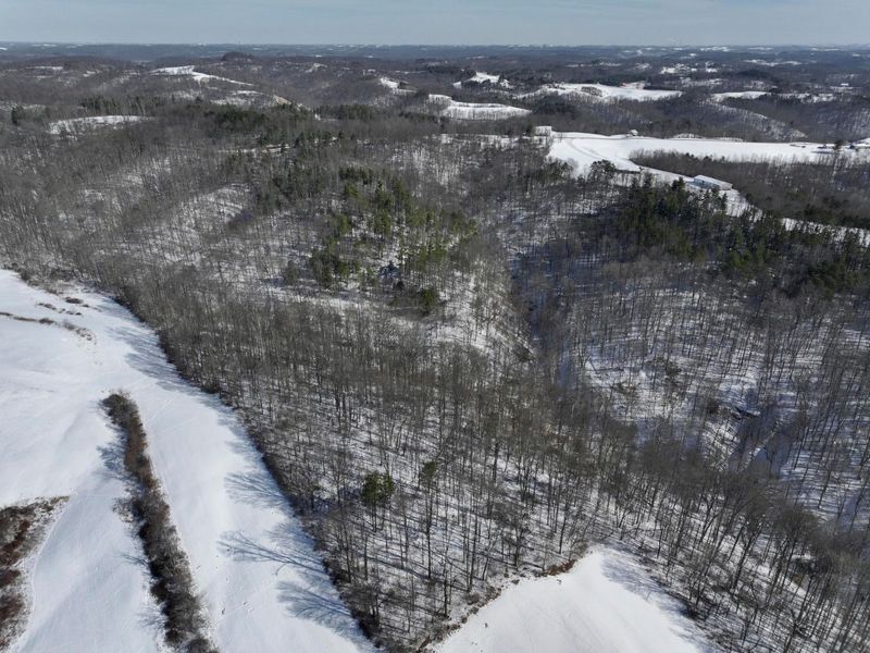 0 Tract 3 Bondi Ridge Rd , Woodsfield, OH 43793 Photo 3