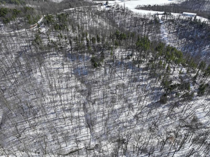 0 Tract 3 Bondi Ridge Rd , Woodsfield, OH 43793 Photo 4